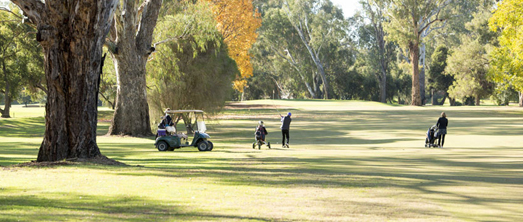 Black Bull Golf Club Yarrawonga